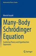 Many-Body Schrdinger Equation