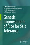 Genetic Improvement of Rice for Salt Tolerance