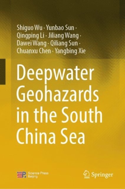 Yangbing Xie, Chuanxu Chen, Qiliang Sun, Dawei Wang, Jiliang Wang, Qingping Li, Yunbao Sun, Shiguo Wu - Deepwater Geohazards in the South China Sea, E-bok
