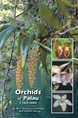 Ann Hillmann Kitalong - Orchids of Palau: A Field Guide, Häftad. Tillgänglighet: Lägg i varukorg