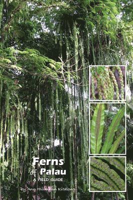 Ann Hillmann Kitalong - Ferns of Palau: A Field Guide, Häftad. Tillgänglighet: Lägg i varukorg