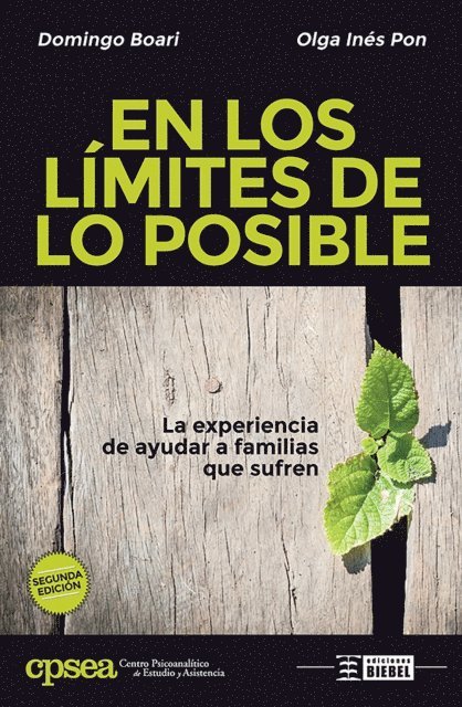 Olga Ines Pon, Domingo Boari - En los límites de lo posible, E-bok