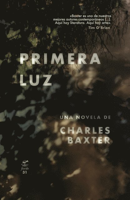 Charles Baxter - Primera luz, E-bok