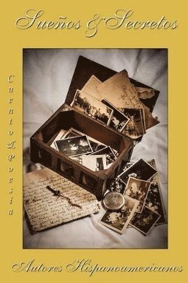 Gladys Viviana Landaburo - Suenios y Secretos, Häftad