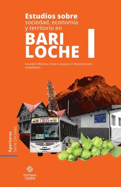 Hector Martin Civitaresi, Facundo Malvicino, Tomas Alejandro Guevara - Estudios sobre sociedad, economía y territorio en Bariloche I, E-bok