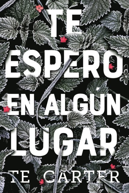 TE Carter - Te espero en algún lugar, E-bok