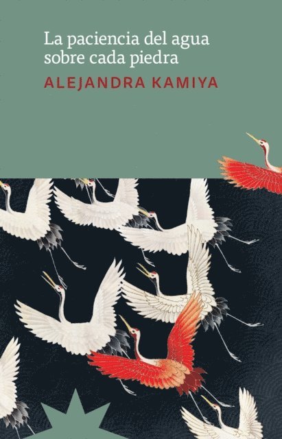 Alejandra Kamiya - La paciencia del agua sobre cada piedra, E-bok