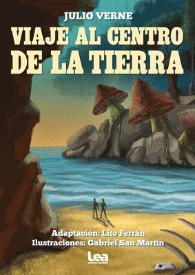 Jules Verne - Viaje al centro de la tierra, Häftad