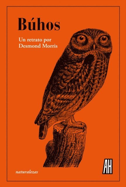Desmond Morris - Búhos, E-bok