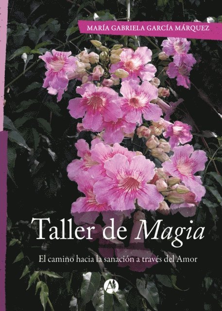 Maria Gabriela Garcia Marquez - Taller de Magia, E-bok