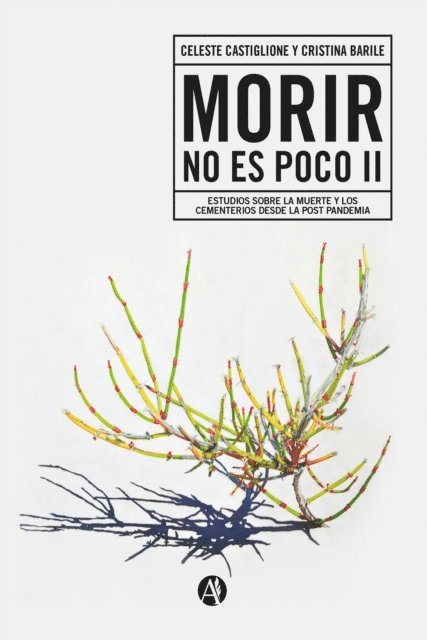 Pablo De Battisti, Romina Reynolds, Ana Clara Picco Lambert, Daniel Imfeld, Julian Arroyo, Mariana Mensegues, Guillermo Bertani, Olga Flores, Maria Carlota Sempe, Patricia Sanchez, Maria Rosa Catullo, Ceferino Bavasso y Ayala, Sofia Maniusis, Lorena Mendoza, Leandro Tua, Liliana Navarro Ibarra, Cristina Barile, Celeste Castiglione - Morir no es poco II, E-bok