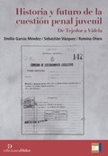 Historia y futuro de la cuestiÃ³n penal juvenil