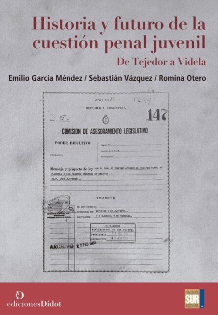 Sebastian Vazquez, Romina Florencia Otero, Emilio Garcia Mendez - Historia y futuro de la cuestion penal juvenil, E-bok