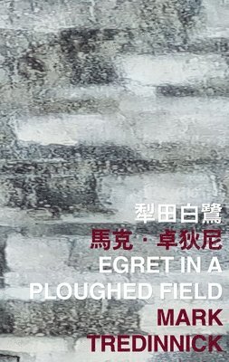 Mark Tredinnick - Egret in a Ploughed Field, Häftad. Tillgänglighet: Tillfälligt slut