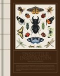 Insectile Inspiration: Insects in Art and Illustration