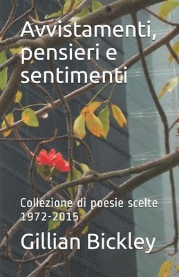 Gillian Bickley - Avvistamenti, pensieri e sentimenti, Häftad. Tillgänglighet: Lägg i varukorg