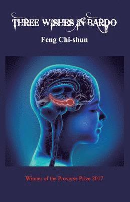 Chi-Shun Feng - Three Wishes in Bardo, Häftad