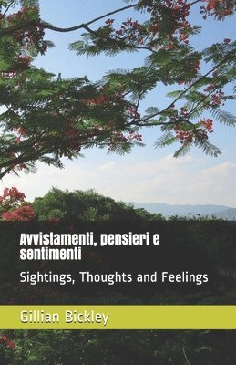 Gillian Bickley - Avvistamenti, pensieri e sentimenti: Sightings, Thoughts and Feelings, Häftad. Tillgänglighet: Lägg i varukorg