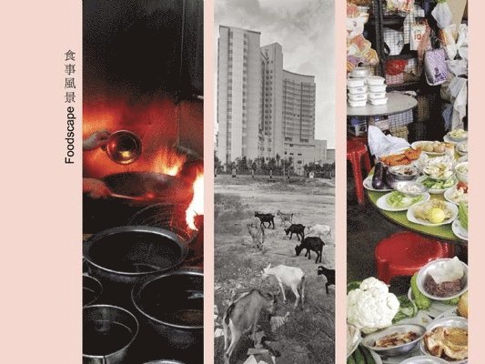 Margrit Manz, Martin Zeller - Foodscape - a Swiss-Chinese Intercultural Encounter About the Culture of Food, Inbunden