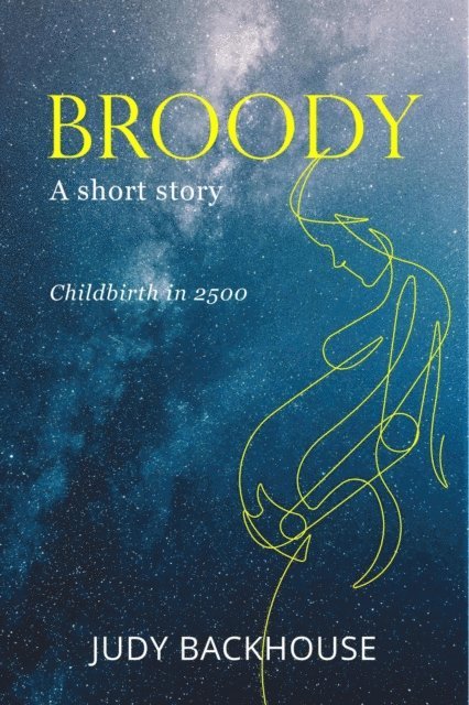 Judy Backhouse - Broody, E-bok