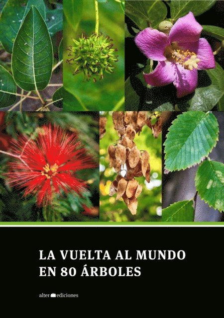 Leandro Cabrera, Manuel Carballa - La vuelta al mundo en 80 árboles, E-bok. Tillgänglighet: Lägg i varukorg