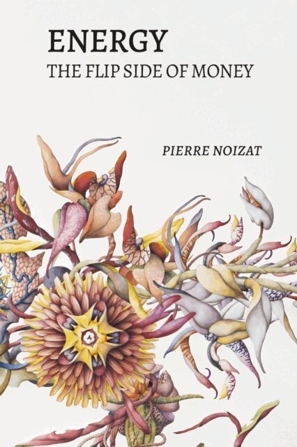 Pierre Noizat - Energy, the flip side of money, E-bok. Tillgänglighet: Lägg i varukorg