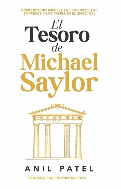 Anil Patel, Maria Josefina Alonso - El Tesoro de Michael Saylor, E-bok