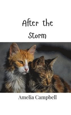 Amelia Campbell - After the Storm, Häftad. Tillgänglighet: Tillfälligt slut