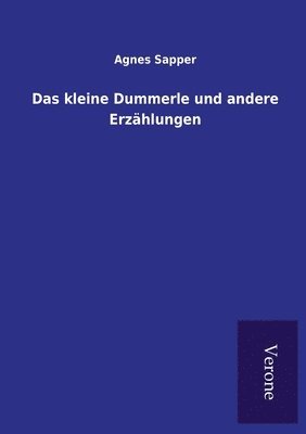 Agnes Sapper - kleine Dummerle und andere Erzählungen, Häftad