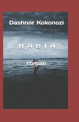 Dashnor Kokonozi - Habia, Häftad