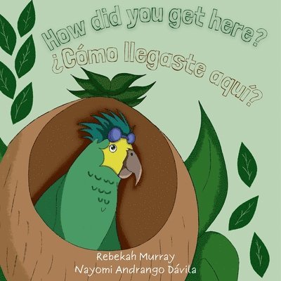Rebekah Murray - How did you get here? ¿Cómo llegaste aquí?, Häftad