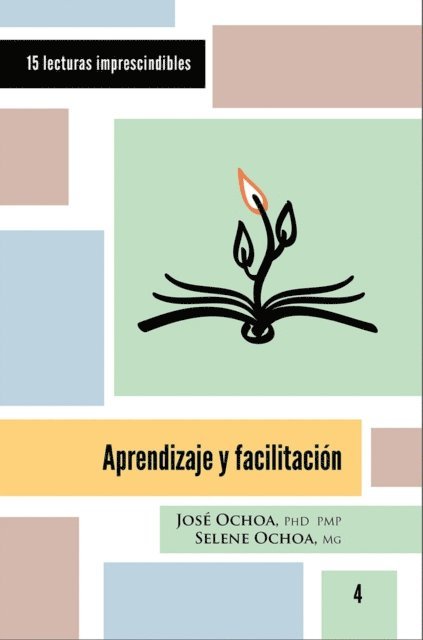 Selene Ochoa, Jose Ochoa - Aprendizaje y facilitación, E-bok