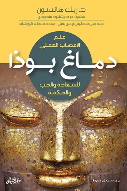 Richard Mendius - Buddha's brain, E-bok