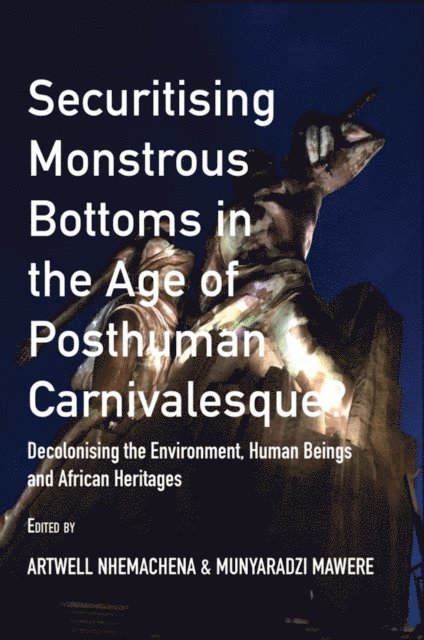 Munyaradzi Mawere, Artwell Nhemachena - Securitising Monstrous Bottoms in the Ag, E-bok