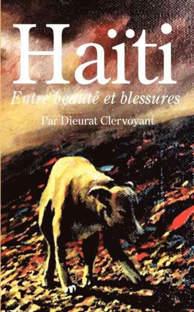 Dieurat Clervoyant - Haiti: Entre beaute et blessures, E-bok