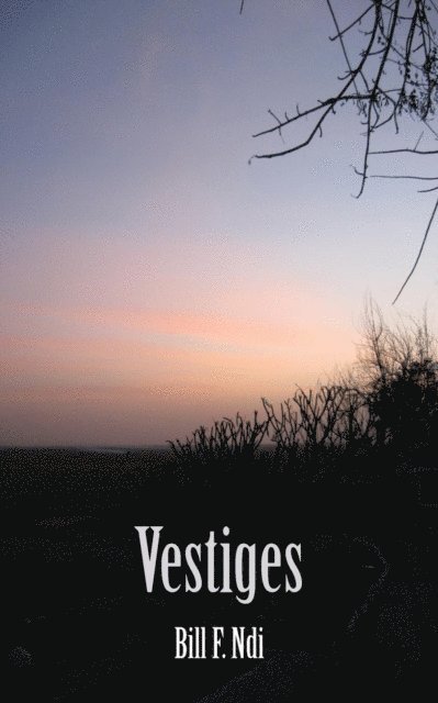 F. Ndi - Vestiges, E-bok