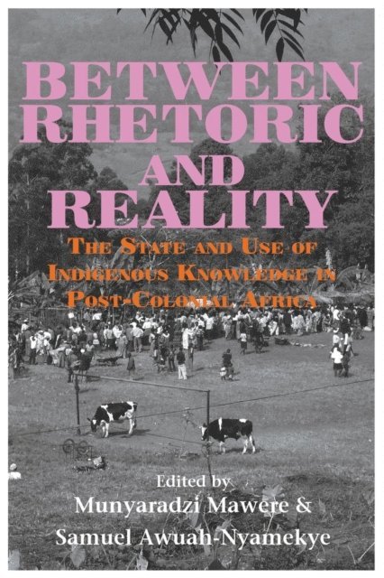 Between Rhetoric and Reality
