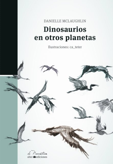 Danielle McLaughlin - Dinosaurios en otros planetas, E-bok