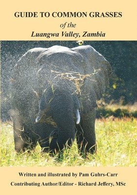 Pam Guhrs-Carr, Richard Jeffery - Guide to Common Grasses of the Luangwa Valley, Zambia, Häftad