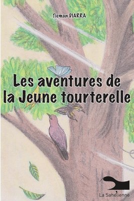 Tieman Diarra - Les aventures de la jeune tourterelle, Häftad