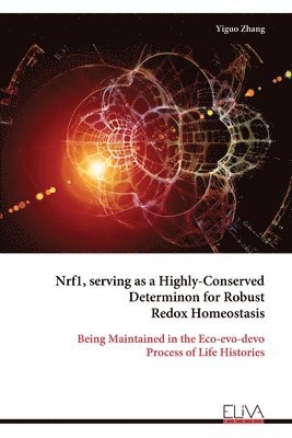 Yiguo Zhang - Nrf1, serving as a Highly-Conserved Determinon for Robust Redox Homeostasis, Häftad