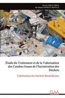 Séverin Mbog Mbog, Ilie Johana Ondigui Mengue - Étude du Traitement et de la Valorisation des Cendres Issues de l'Incinération des Déchets, Häftad