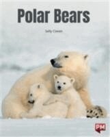 Polar Bears, Häftad