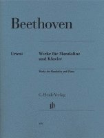 Beethoven, Ludwig van - Werke für Mandoline und Klavier av Ludwig van Beethoven, Armin Raab