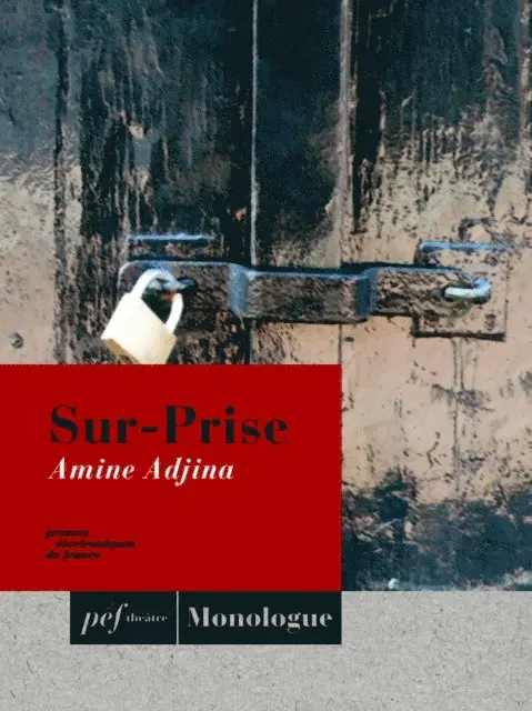 Amine Adjina - Sur-Prise, E-bok. Tillgänglighet: Lägg i varukorg