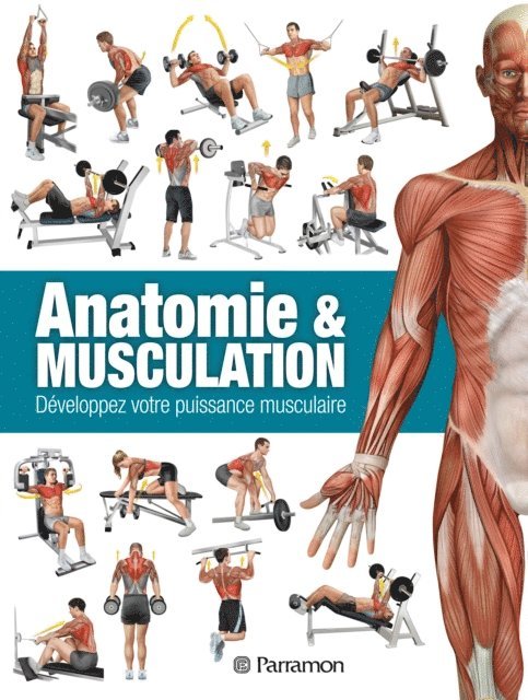 Ricardo Canovas Linares - Anatomie & Musculation, E-bok. Tillgänglighet: Lägg i varukorg