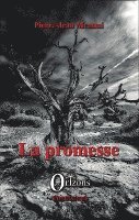 promesse