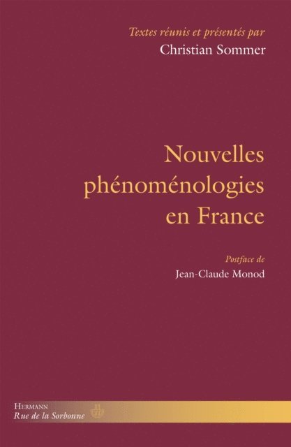 Christian Sommer - Nouvelles phénoménologies en France, E-bok