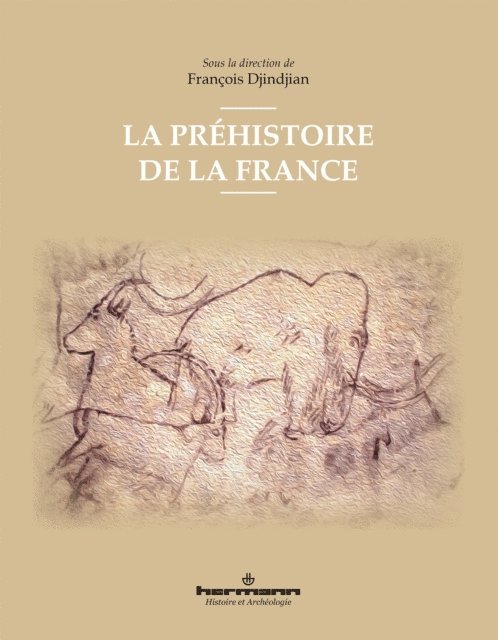 Francois Djindjian - La Préhistoire de la France, E-bok