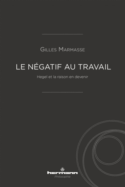 Gilles Marmasse - Le négatif au travail, E-bok